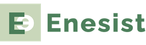 Logotip Enesist d.o.o.